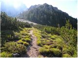 La Crusc - Lavarella (western summit)